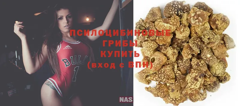 Псилоцибиновые грибы GOLDEN TEACHER  Копейск 